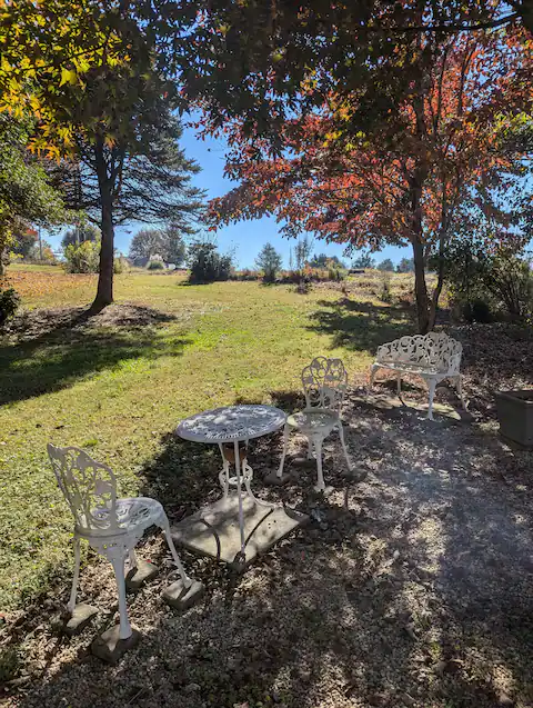 Front yard area.