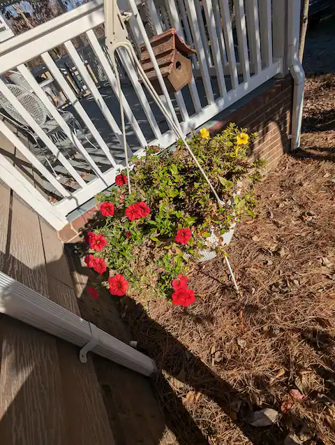 Flower bed